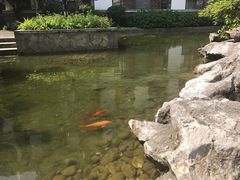 -太湖湾开元名庭大酒店