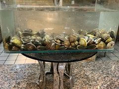 -亮马河饭店翠雅咖啡厅