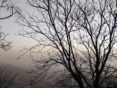 -香山公园