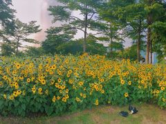-二沙岛艺术公园