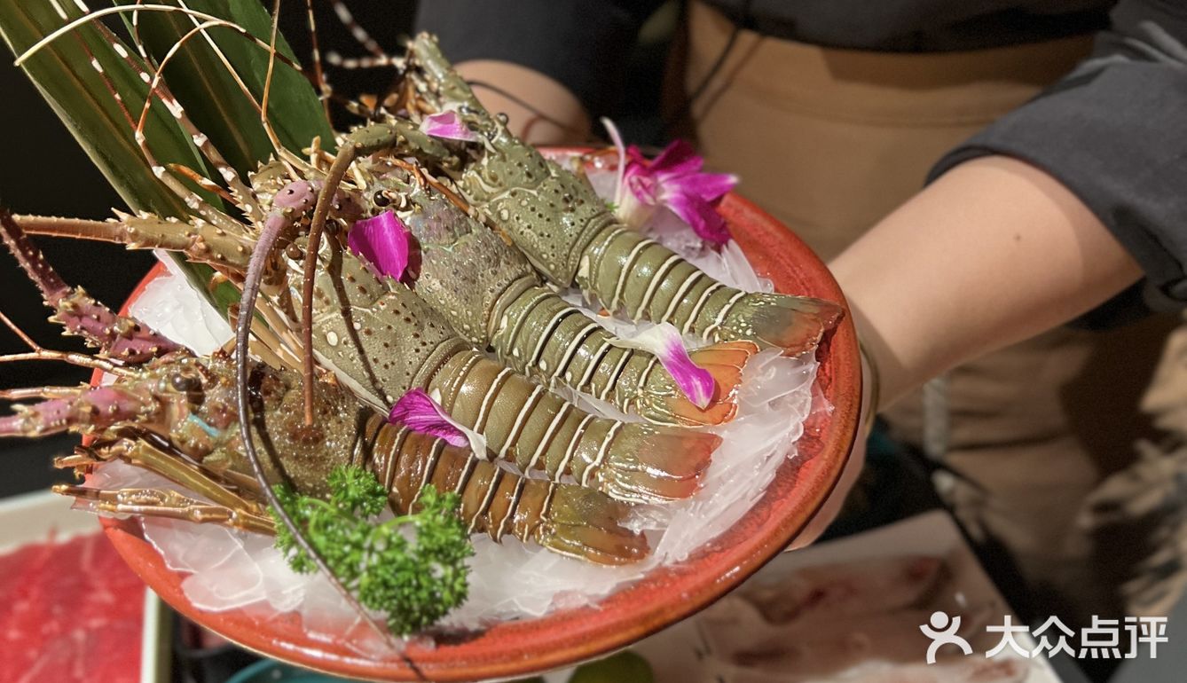 天啊，小青龙畅吃我没看错吧  