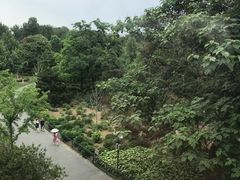 -不二茶空间·养生宴(石景山店)