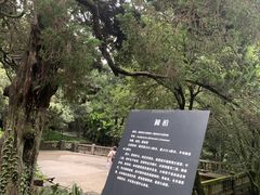 -莫干山风景区