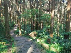 -溪头自然教育园区林间休憩场