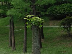 -人民公园(罗湖区)