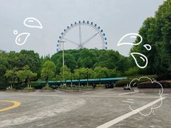 -宜兴龙背山森林公园