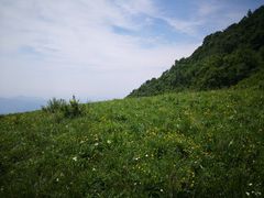 -白草畔自然风景区