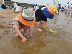 -碧海金沙
