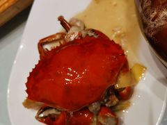-沪碟·精菜坊(闵行店)