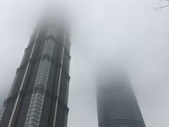 -上海柏悦酒店·世纪100牛排馆