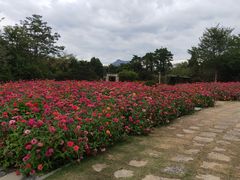 -厦门园林博览苑