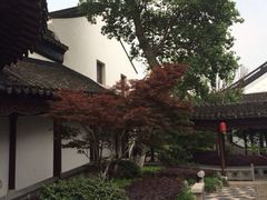 iphone_upload_pic-檀园