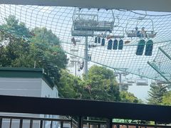 -圣淘沙天际线斜坡滑车
