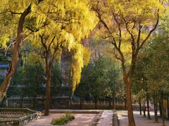 -藏山旅游风景区