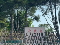 -小麦岛公园