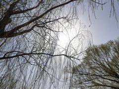 -天津东丽湖风景区