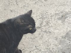 -野水沟小商品批发市场