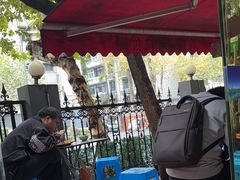 -清真老马牛肉拉面馆(上海路店)