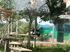 -苏州太湖国家湿地公园