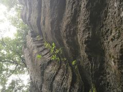 -山王坪喀斯特国家生态公园
