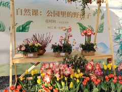 -海心沙亚运公园