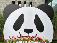 -都江堰中华大熊猫苑