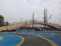 -府河摄影公园
