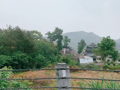-四明山国家森林公园