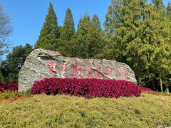 -东平国家森林公园