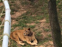 -西霞口神雕山野生动物世界