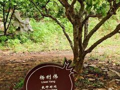 -青檀寺景区