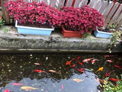 -老洋房花园饭店(绍兴路店)