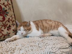 -小时光咖啡馆(北锣鼓巷店)
