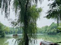 -杭州西子湖四季酒店-WL BISTRO西湖餐厅(灵隐路店)