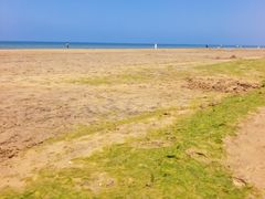 -烟台金沙滩海滨公园