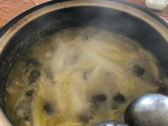 -15年老字号鑫鑫猪肚鸡·椰子鸡海南火锅(兴隆华侨农场店)