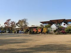 -上海长兴岛郊野公园