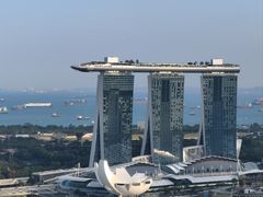 -新加坡瑞士史丹福酒店