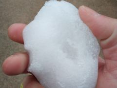 -昆山城市生态森林公园