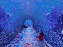 -合肥融创乐园