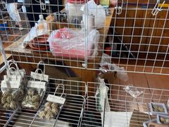 -蓝湾碧波·老字号·疍家非遗海上餐厅