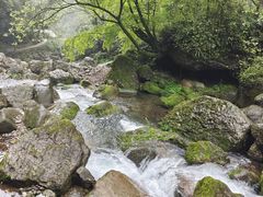 -青城山