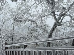 -洛阳白云山景区
