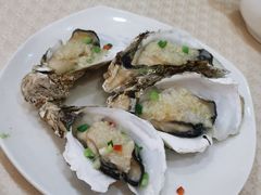 蒜蓉蒸生蚝-寻味顺德·南记酒家·传统顺德菜·鱼生(广源路店)