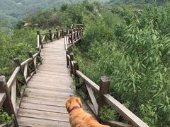 -大岭沟猕猴桃谷风景区