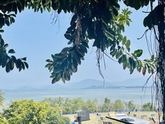 -深圳湾公园(南山区)