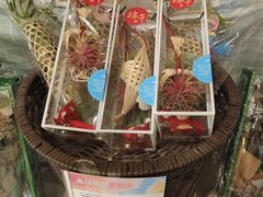 -盒马鲜生(岭南新世界店)