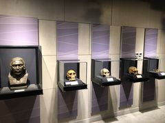-北京周口店北京人遗址博物馆
