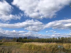 -野鸭湖国家湿地公园