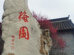 -梅园